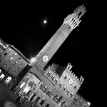 Nel Cuore Del Centro Storico Di * Siena