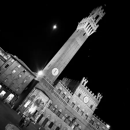 Nel Cuore Del Centro Storico Di * Siena